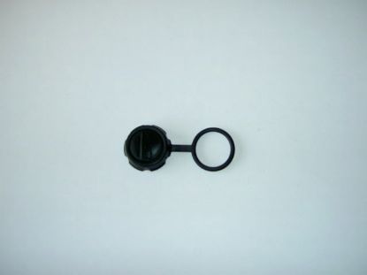 Picture of R103932