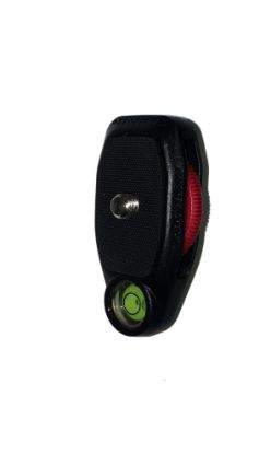 Imagen de R105710G