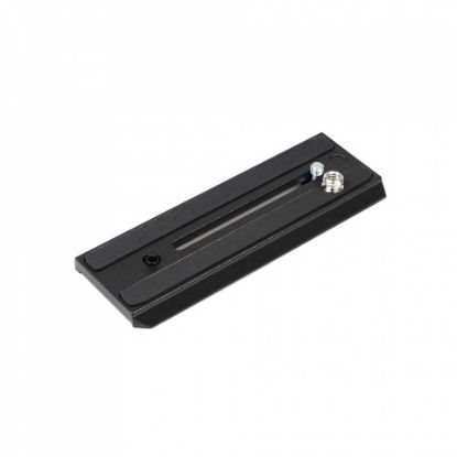 Picture of R504PLONG