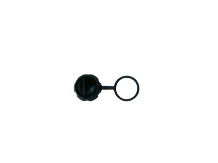 Bild von R103932
