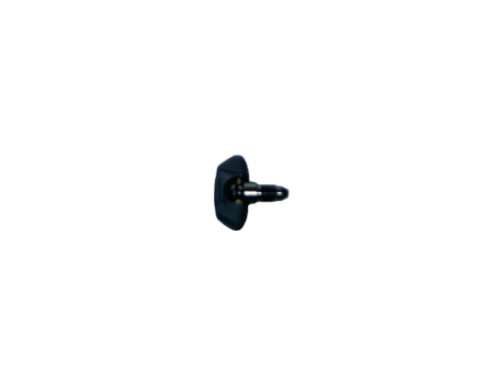 Immagine di R105709