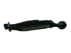 Image de R1066109C01
