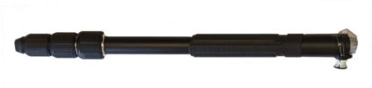 Picture of R116287